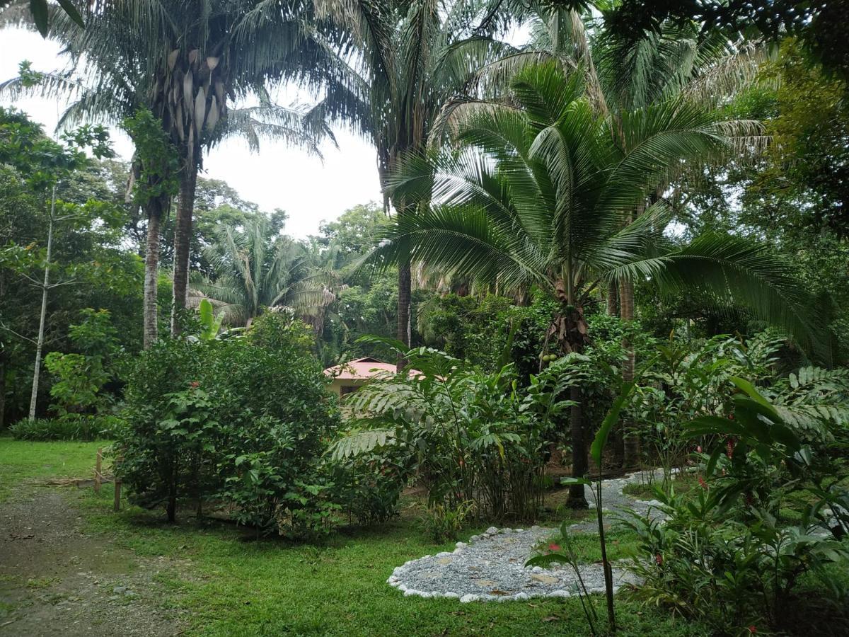 Four Monkeys Eco Lodge - Jungle & Beach Cabo Matapalo Bagian luar foto