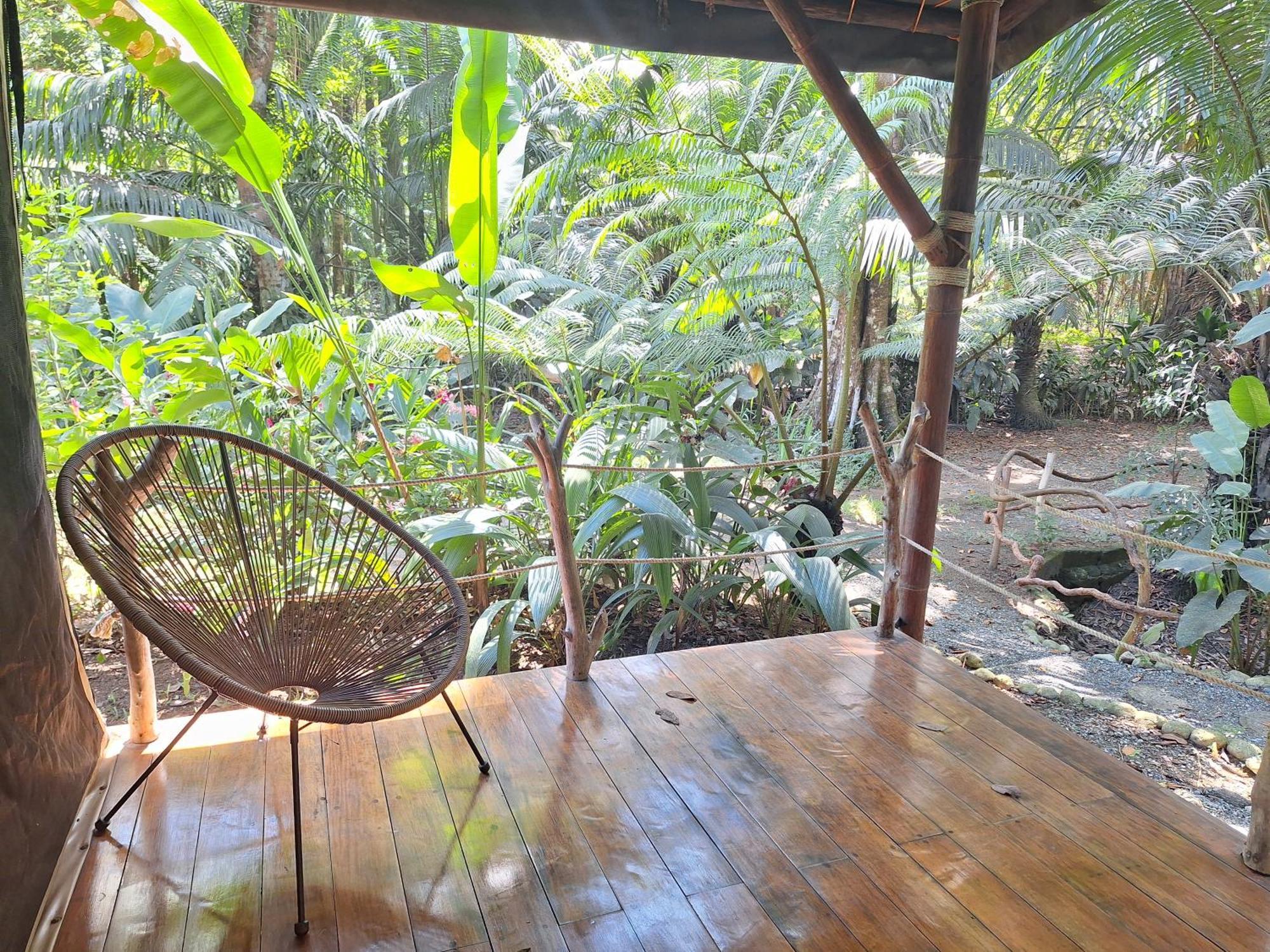 Four Monkeys Eco Lodge - Jungle & Beach Cabo Matapalo Bagian luar foto