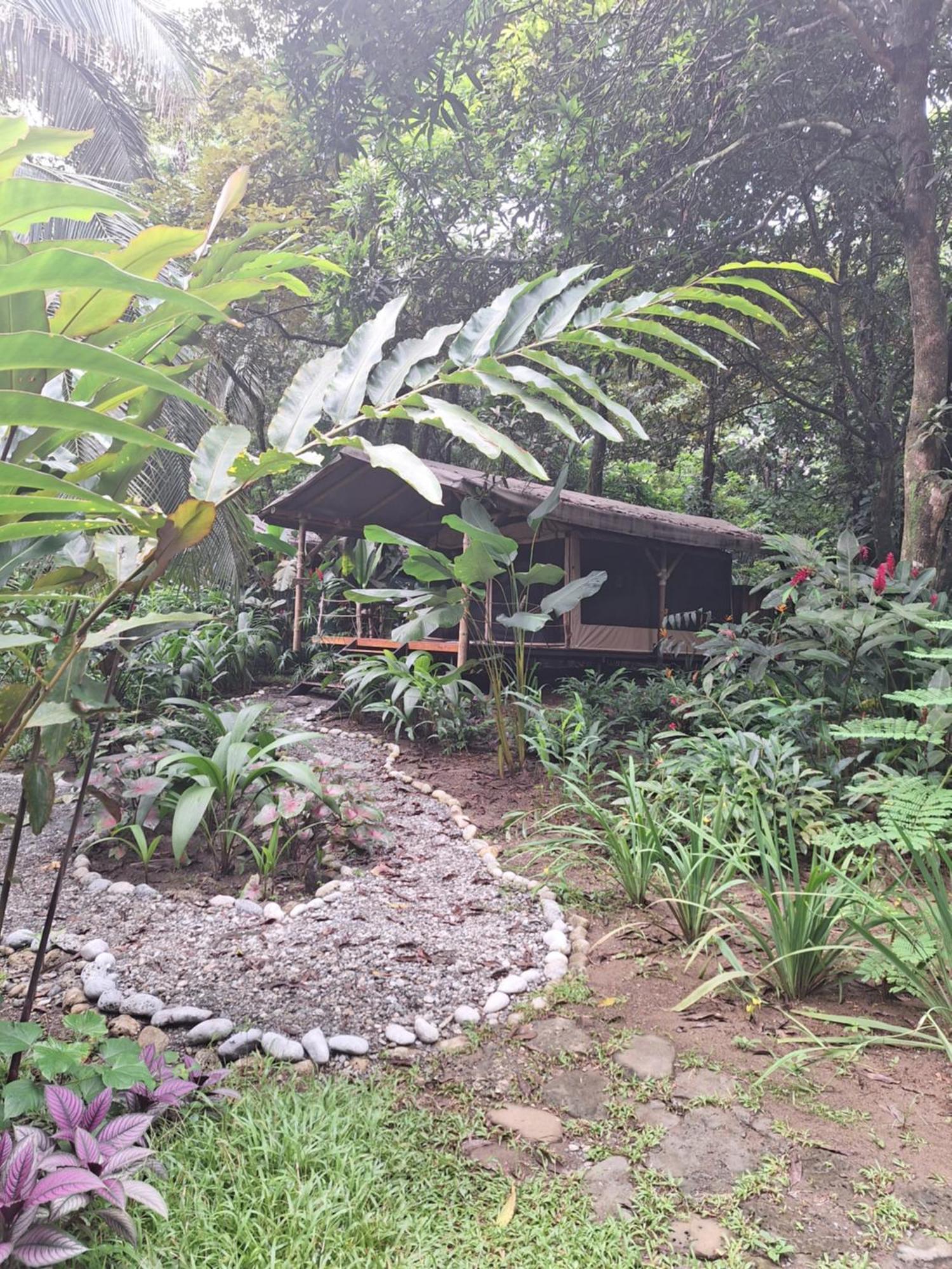 Four Monkeys Eco Lodge - Jungle & Beach Cabo Matapalo Bagian luar foto