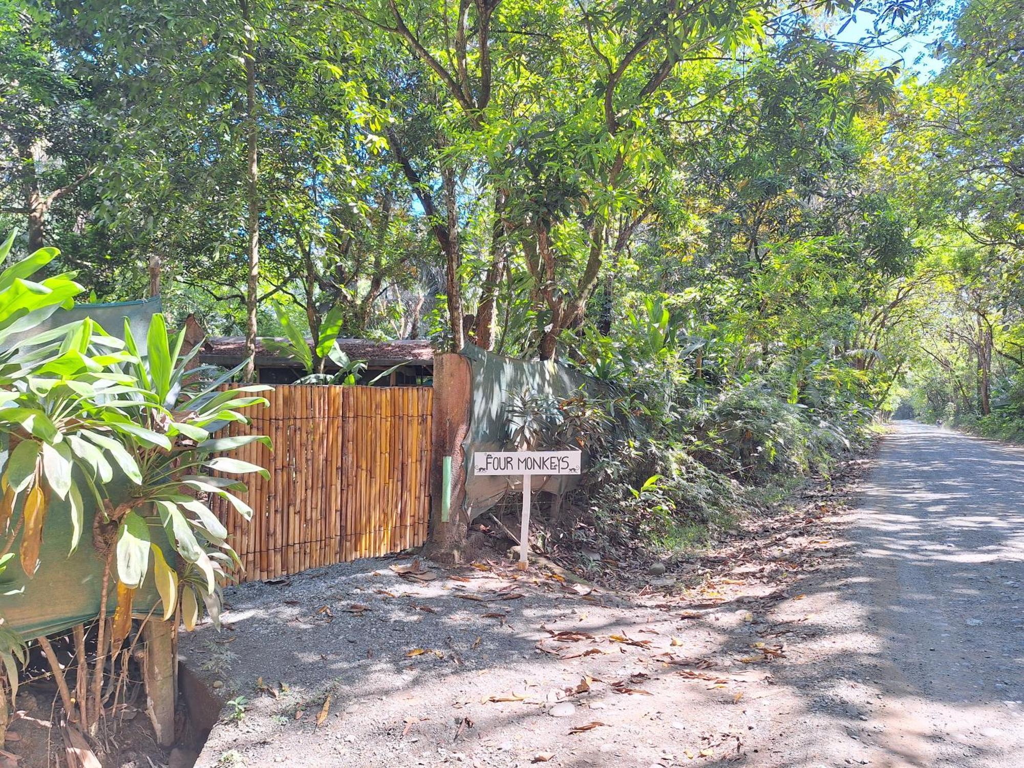 Four Monkeys Eco Lodge - Jungle & Beach Cabo Matapalo Bagian luar foto