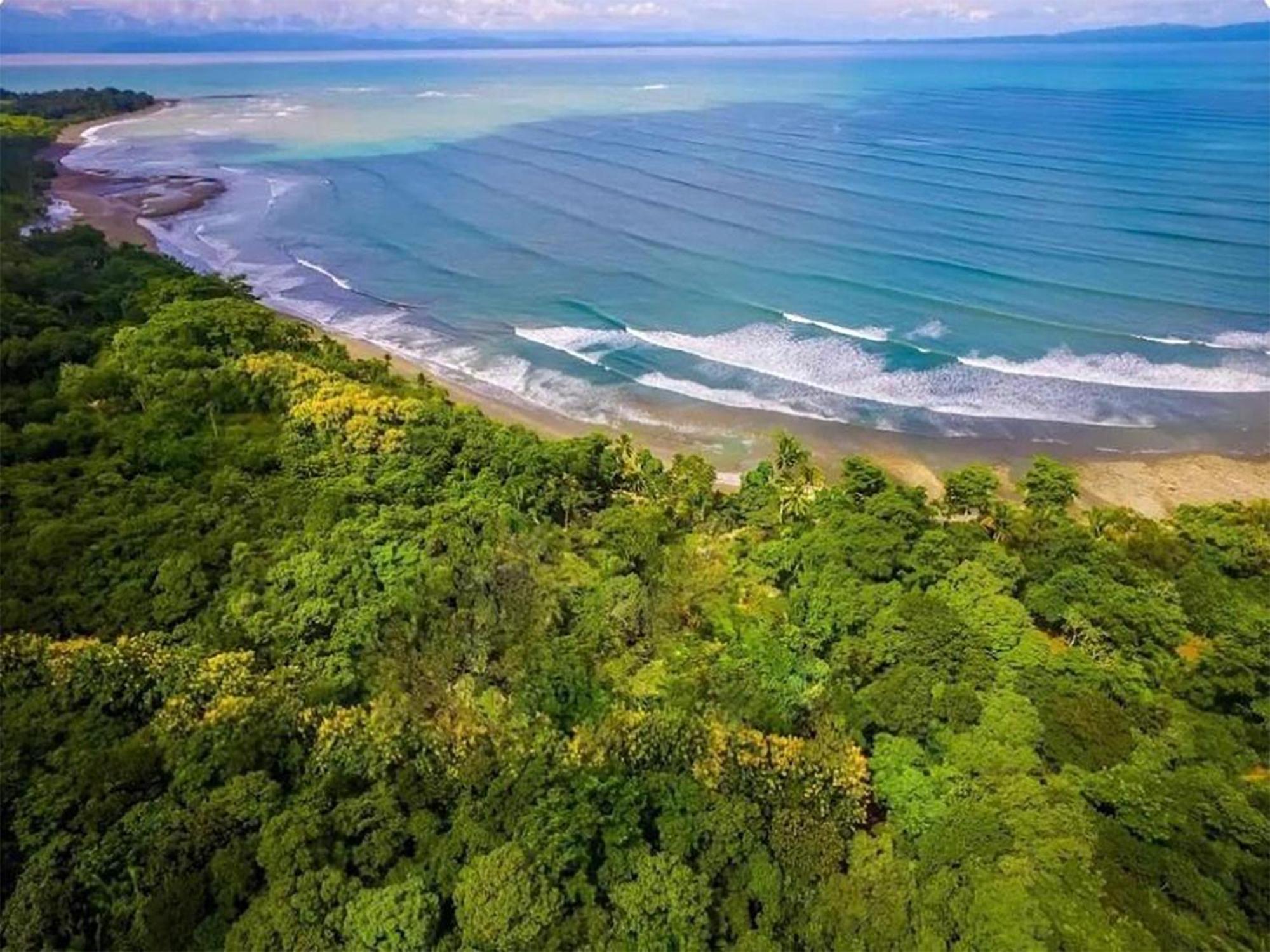 Four Monkeys Eco Lodge - Jungle & Beach Cabo Matapalo Bagian luar foto