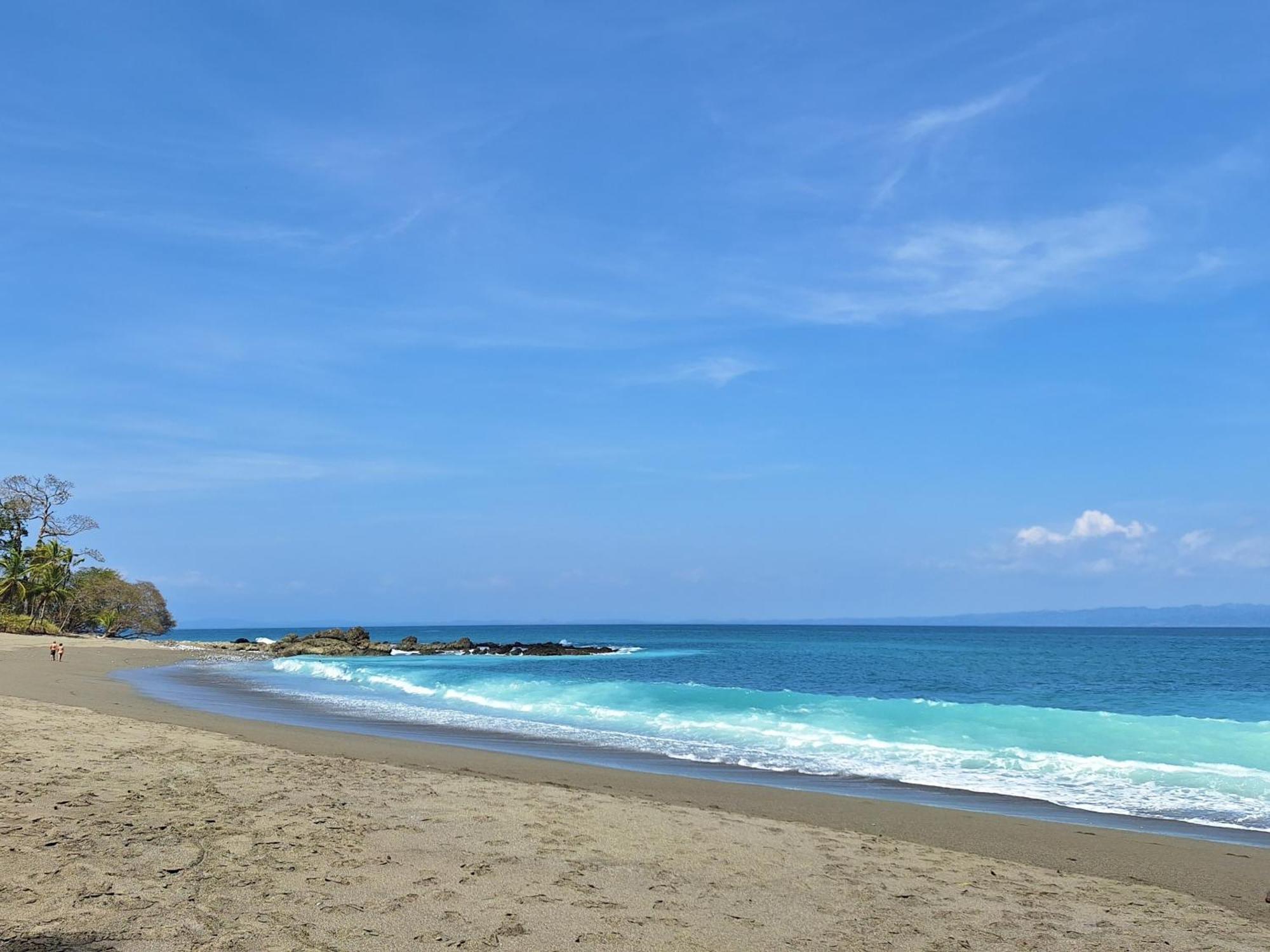 Four Monkeys Eco Lodge - Jungle & Beach Cabo Matapalo Bagian luar foto