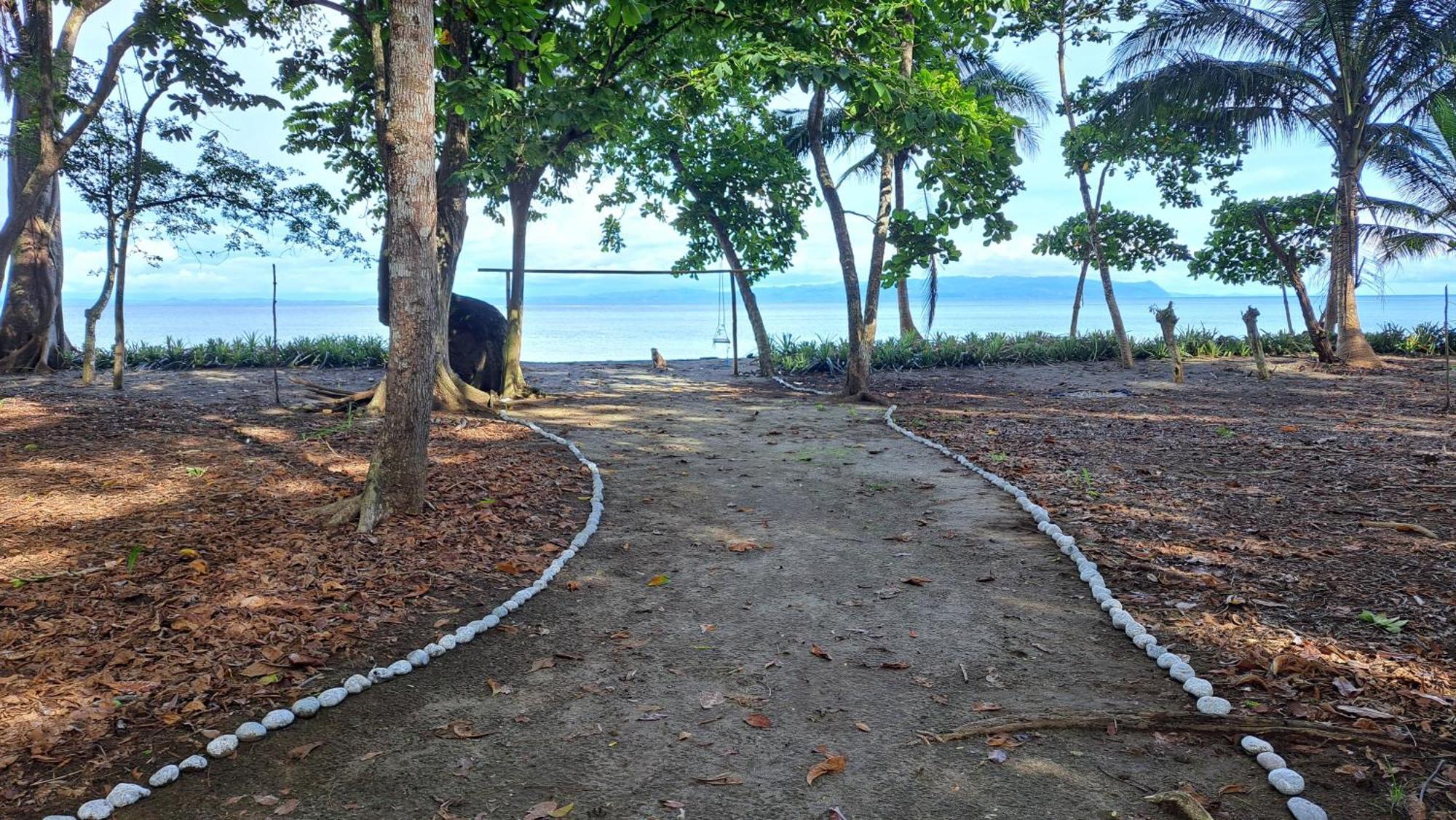 Four Monkeys Eco Lodge - Jungle & Beach Cabo Matapalo Bagian luar foto
