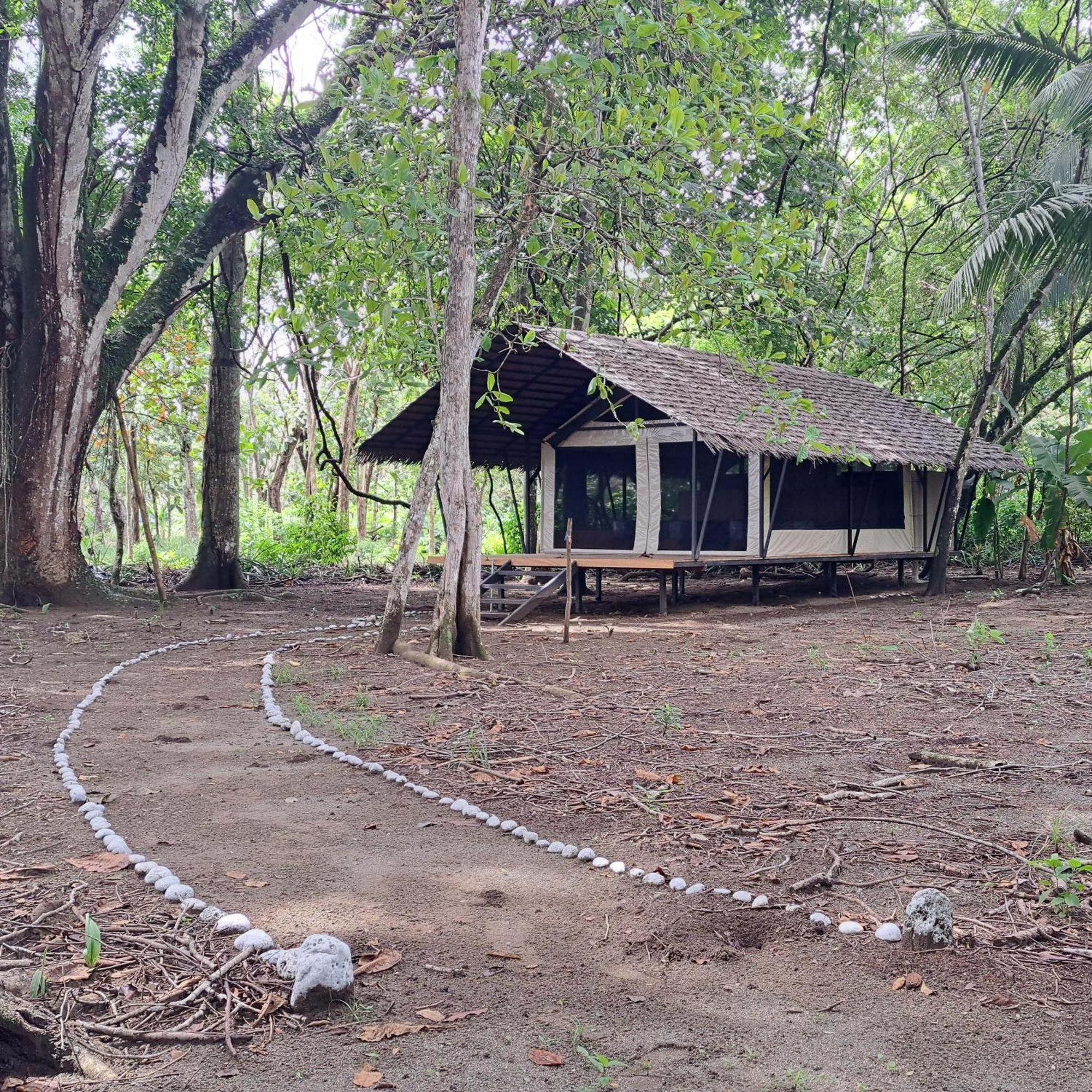 Four Monkeys Eco Lodge - Jungle & Beach Cabo Matapalo Bagian luar foto