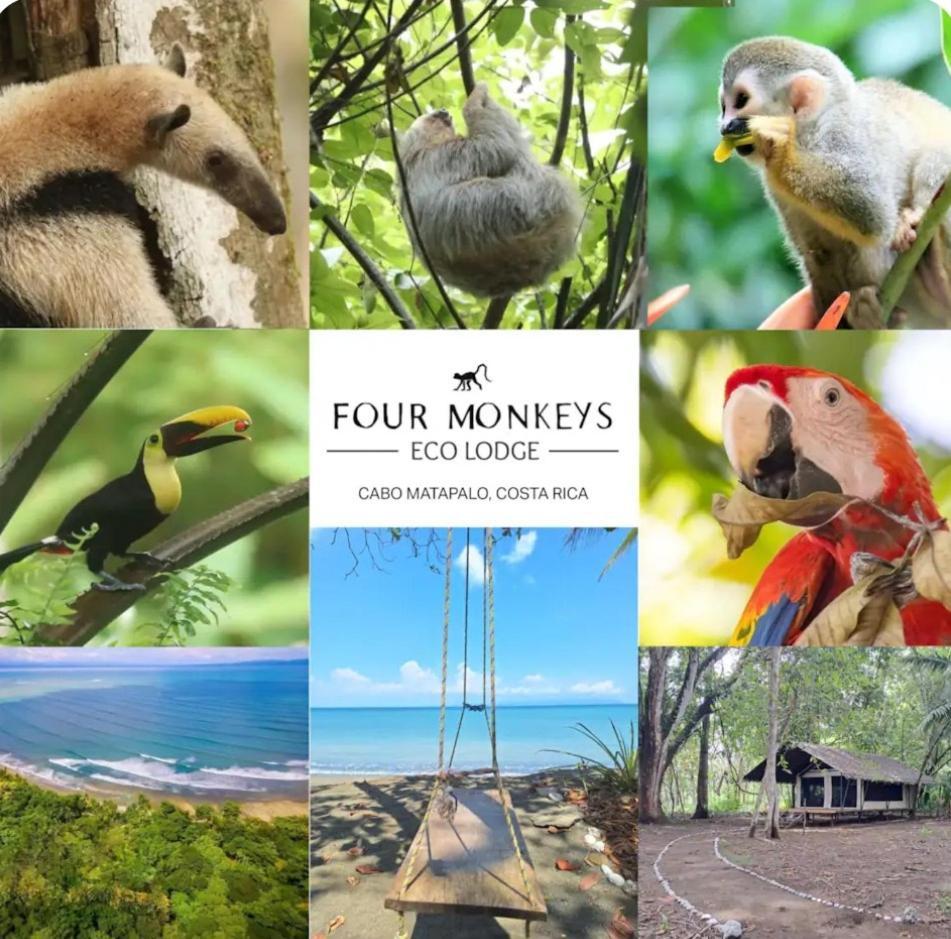 Four Monkeys Eco Lodge - Jungle & Beach Cabo Matapalo Bagian luar foto
