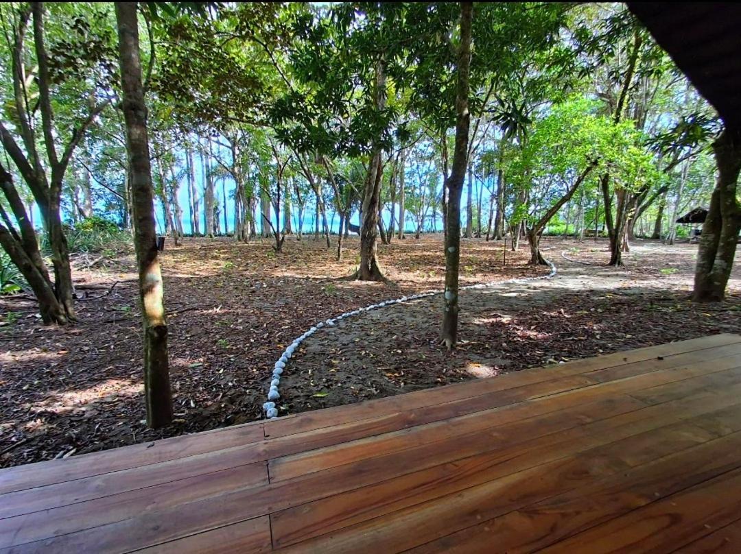 Four Monkeys Eco Lodge - Jungle & Beach Cabo Matapalo Bagian luar foto