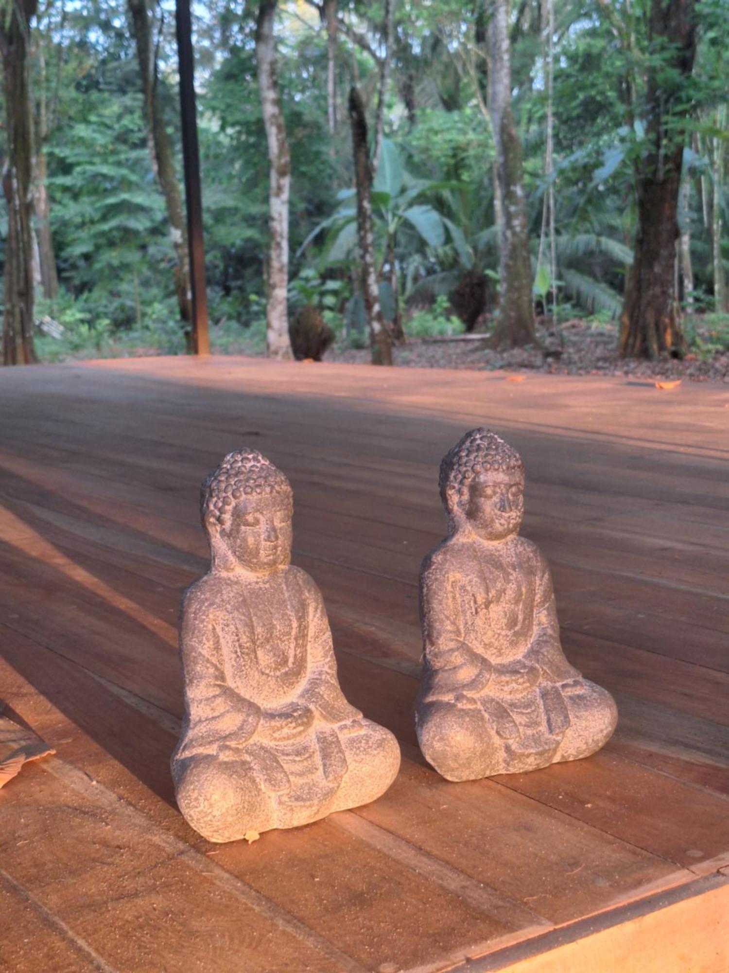 Four Monkeys Eco Lodge - Jungle & Beach Cabo Matapalo Bagian luar foto